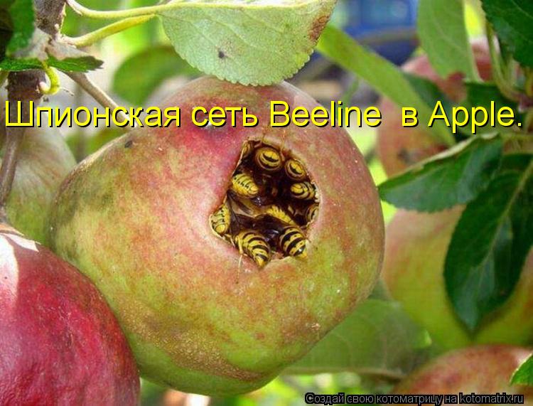 Ура!! Пятница - котоматрица!!!