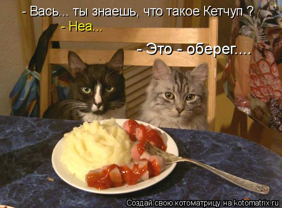 kotomatritsa_C (580x428, 224Kb)