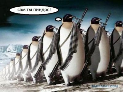 Почему пиндосов зовут пиндосами?:)