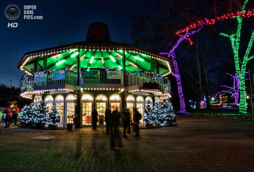 Праздник, Фото, Красиво