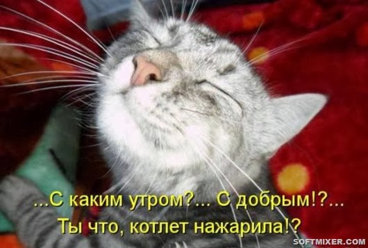 82bbd555bae2cac8ac1a06e0e0d_prev