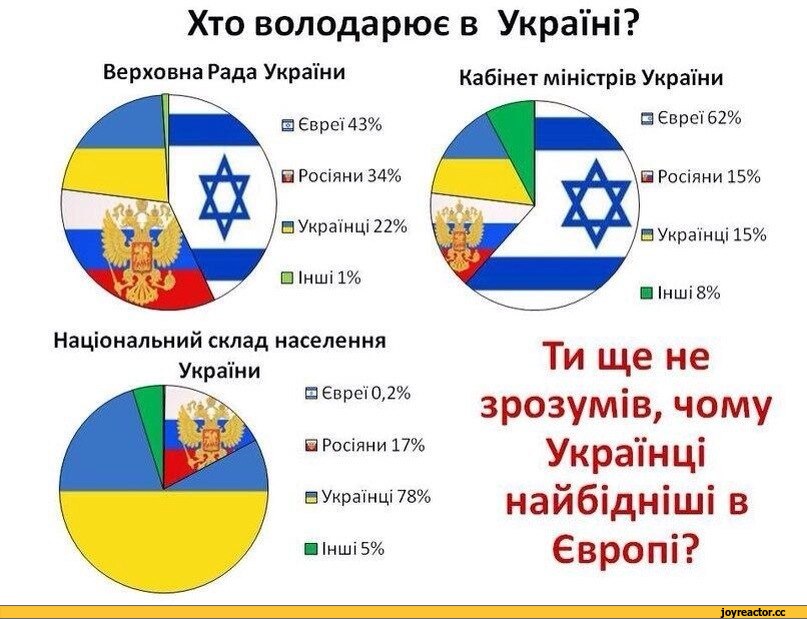 -zog--901731