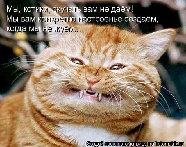 Самые смешные котоматрицы для хорошего настроения) Самые смешные котоматрицы для хорошего настроения)