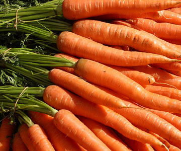 Любовь-морковь: польза моркови