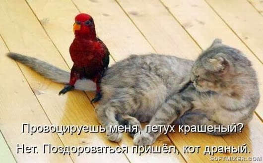 8a242c8753ecf40ddbeff0e5d89_prev