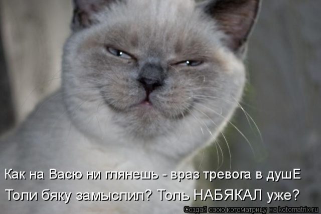 Самые смешные котоматрицы для хорошего настроения) Самые смешные котоматрицы для хорошего настроения)