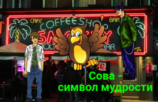 Сова - символ мудрости. Новый рассказ