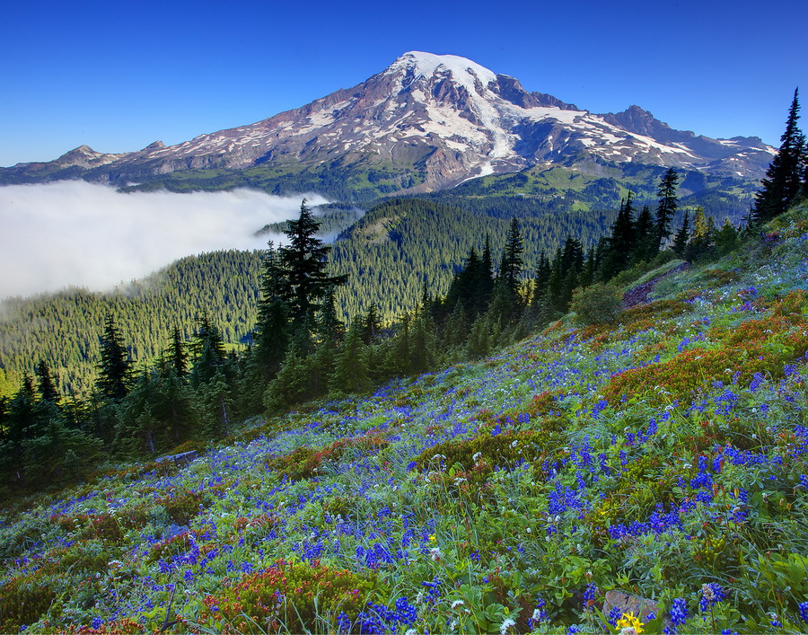 NewPix.ru -   - (Mount Rainier National Park) .  Kevin McNeal