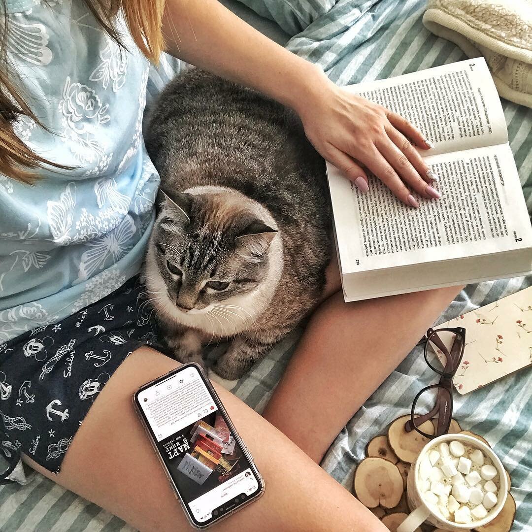 Счастливые люди гладят с утра кошек, пьют кофе и читают книги