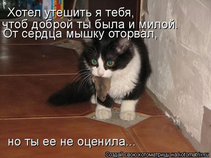 ������ ����������� ������