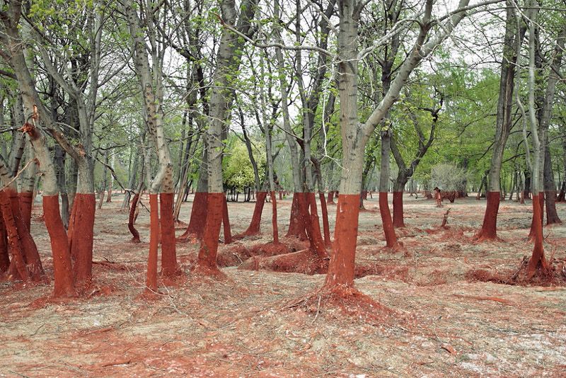  Фотографии которые взорвали интернет