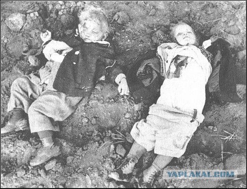Польша - Украина: Крепкая мужская дружба, истоки