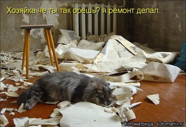 Самые смешные котоматрицы для хорошего настроения) Самые смешные котоматрицы для хорошего настроения)