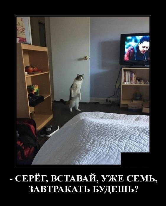 Демотиваторы Демотиваторы