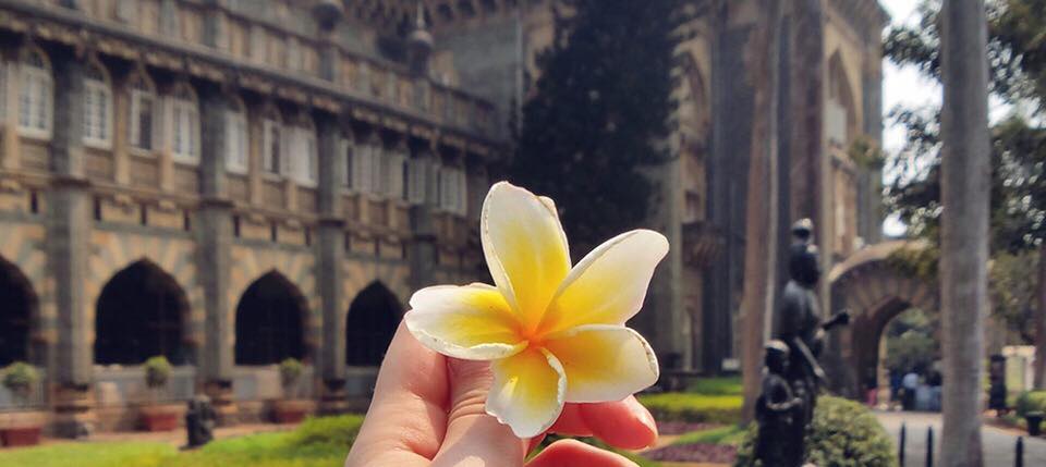 ☀ -:     