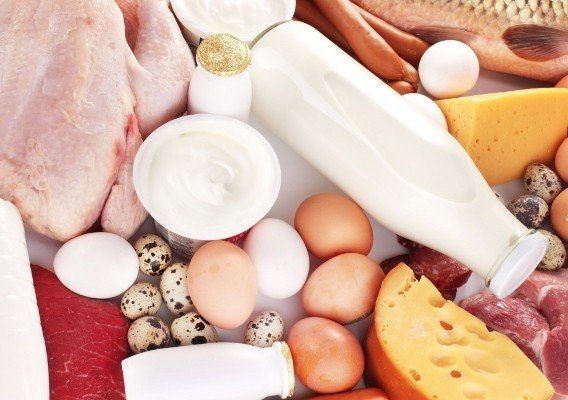 10 продуктов с самым высоким содержанием белка