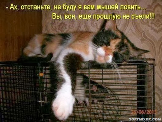 1119980fcd107a19807def7e6e5_prev