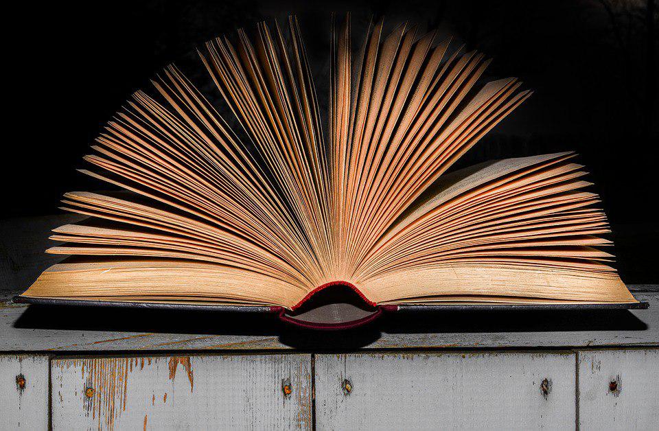 Библиотека в Некрасовке представила новую подборку книг в рамках рубрики «Читающая среда»