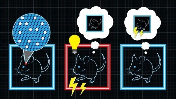 технологии, будущее, изобретения, гаджеты