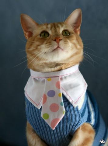 Классификация мужчин