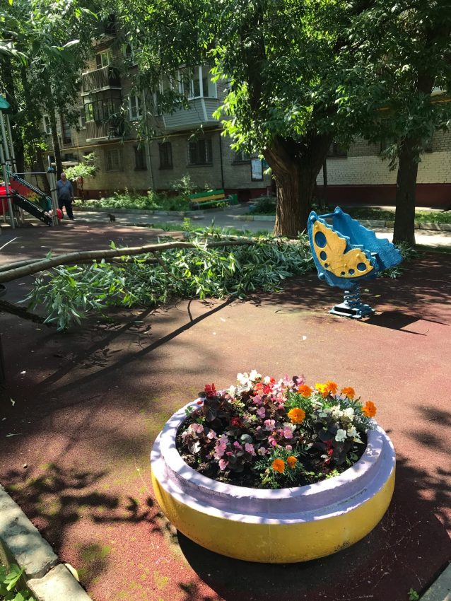 На Базовской дерево упало на детскую площадку