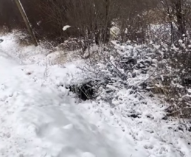 Заснежена земля Снег на улице