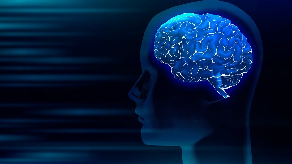 Открытие «выключателя» может помочь очистить мозг от распространённого паразита