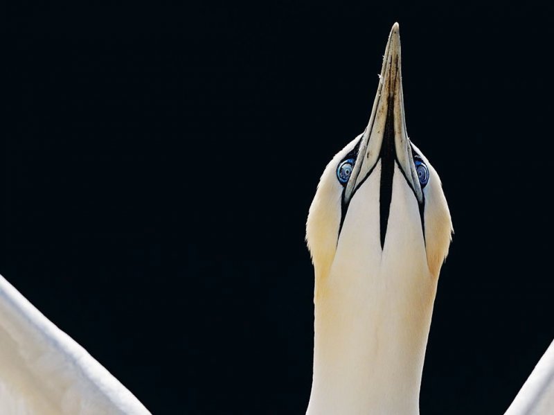 Подборка замечательных фотографий от National Geographic