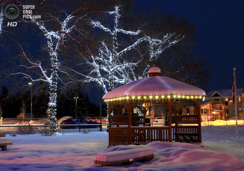 Праздник, Фото, Красиво