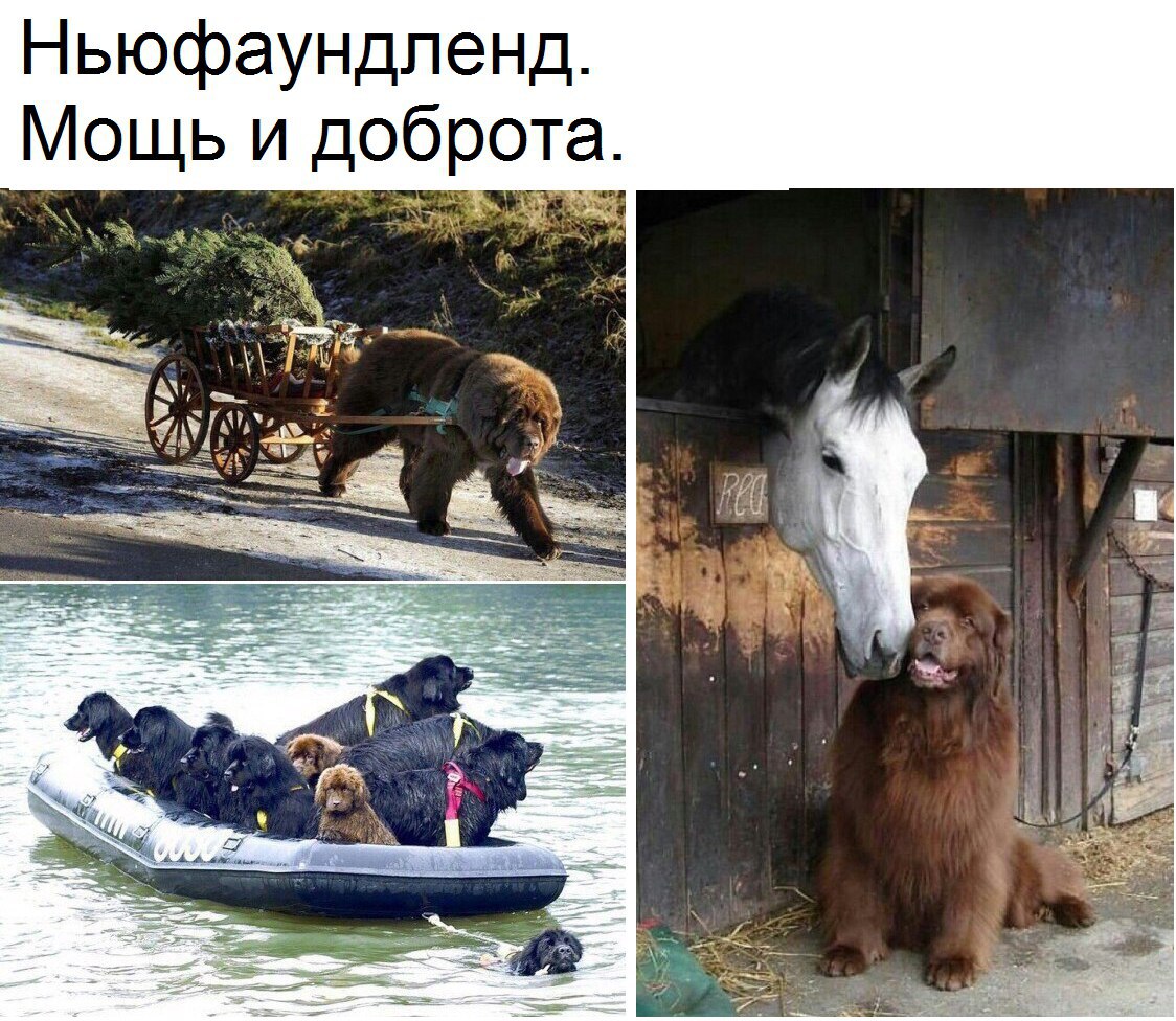 Эмоциональные картинки с надписями со смыслом (11 фото) Эмоциональные картинки с надписями со смыслом (11 фото)