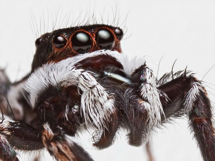 ��������������� John Cogan