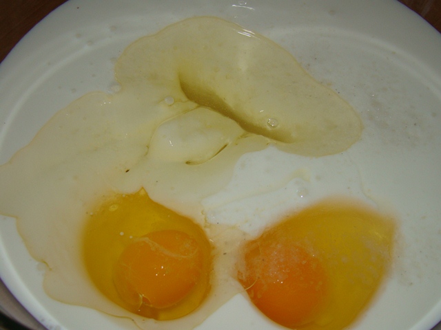 3560462_DSC09504 (640x480, 99Kb)