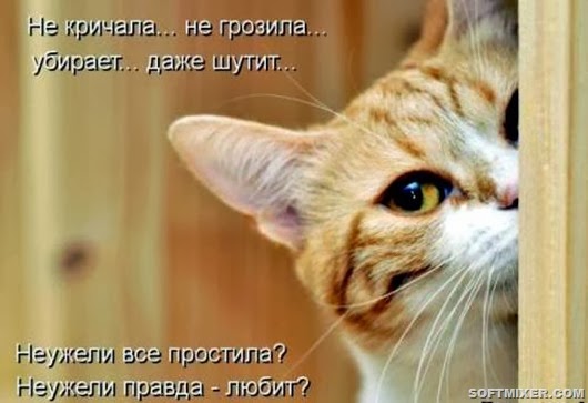 351f1602ea9d4a87b0f91b75c68_prev