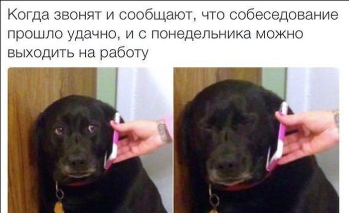 Убойный юмор из соц.сетей, СМС-трёп, приколы от народных юмористов
