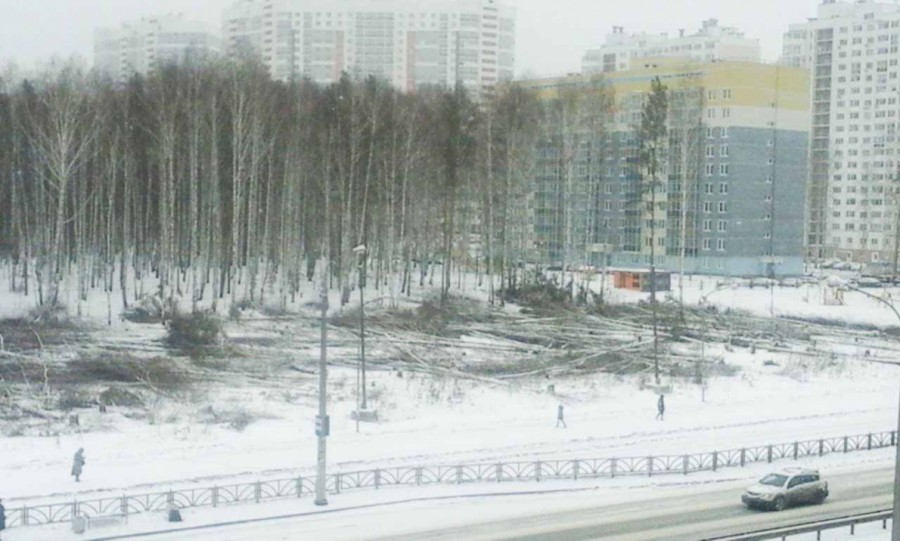 Рубить нельзя оставить