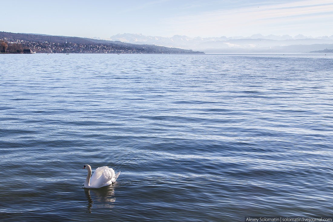 Zurich28 Цюрих. Швейцария