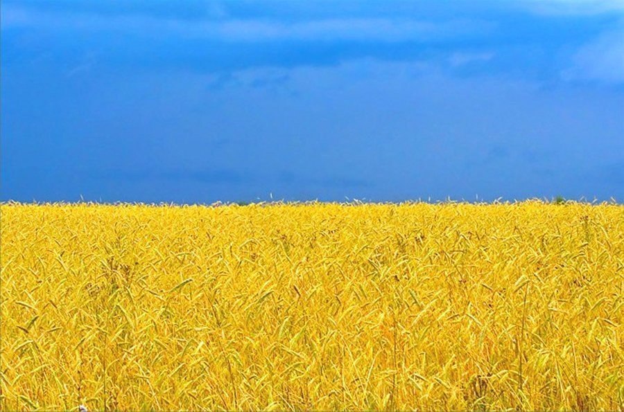 Подборка лучших фотографий Подборка лучших фотографий