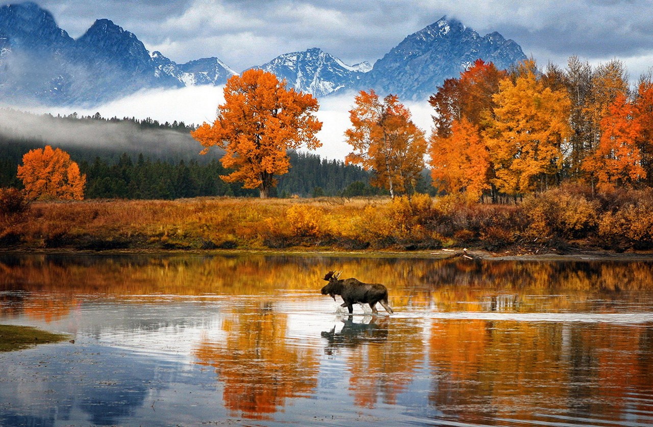 Картинки по запросу national geographic nature photo contest 2013