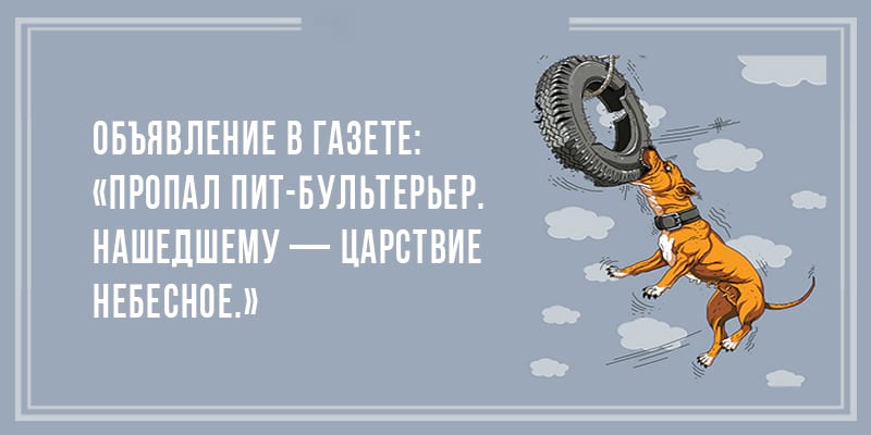 Отпадные шутки для отличного настроения Отпадные шутки для отличного настроения