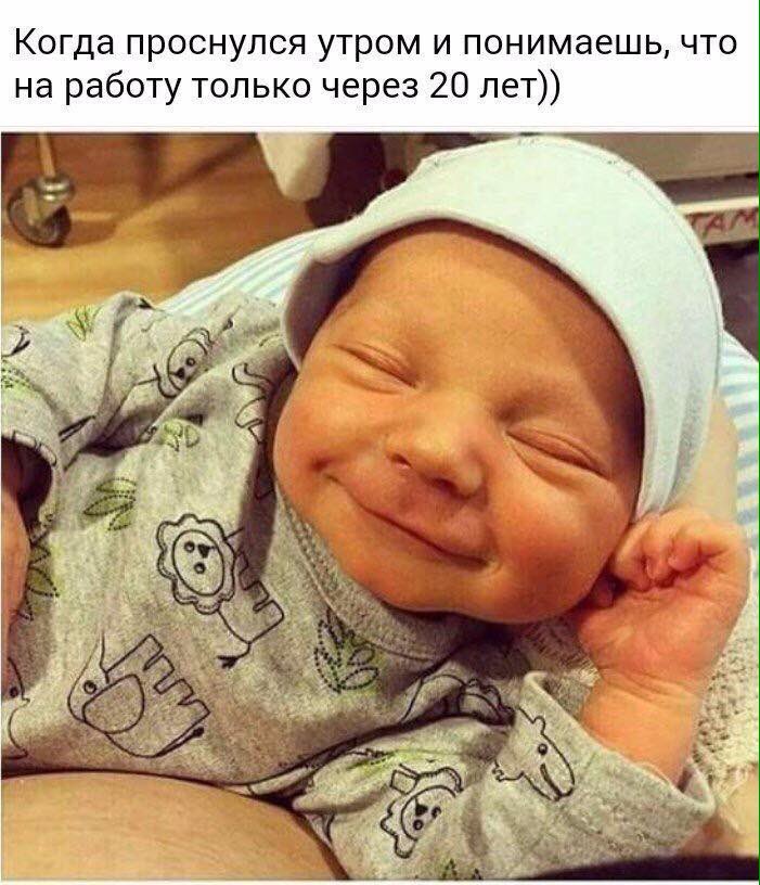 Картинки без политики Картинки без политики