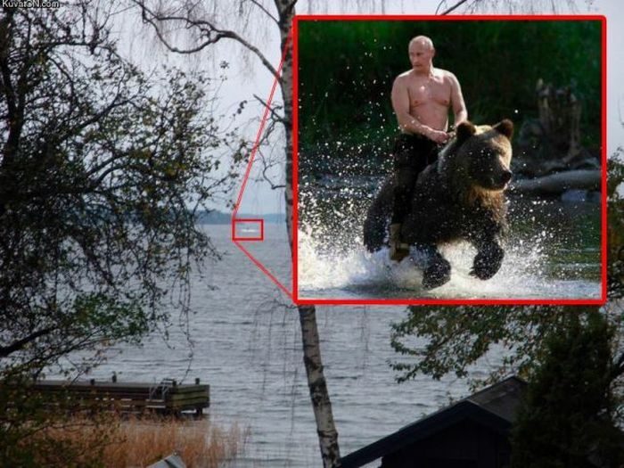 Путин. Лучшие приколы за последнее время