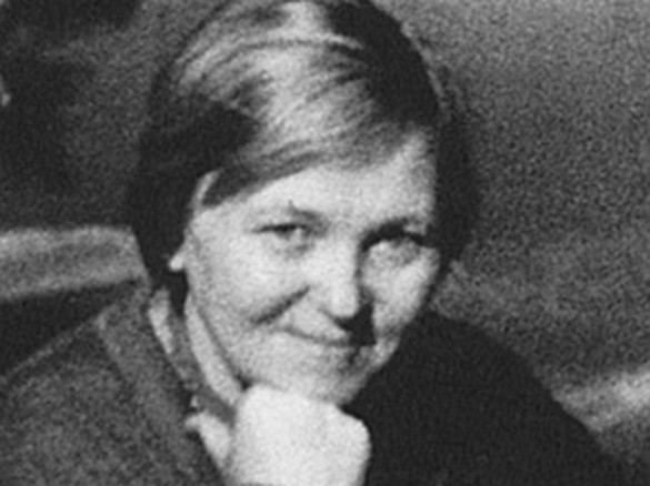 Идея Гаранина Идея Гаранина
