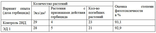 Таблица 1. Влияние гербицида Террамет на редис Таблица 1. Влияние гербицида Террамет на редис