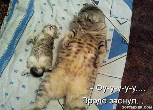 9c34ddce2cf03c66fbea9fbd94b_prev