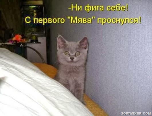 a4ab3418c3ec45158eb5ffcfdfd_prev