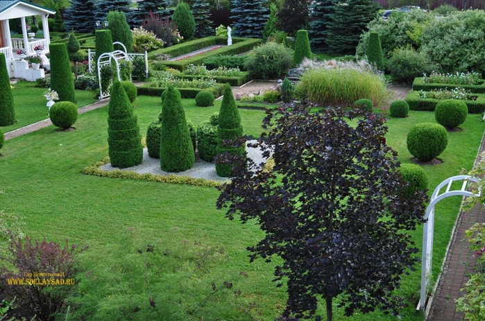 ��� ������� ����������