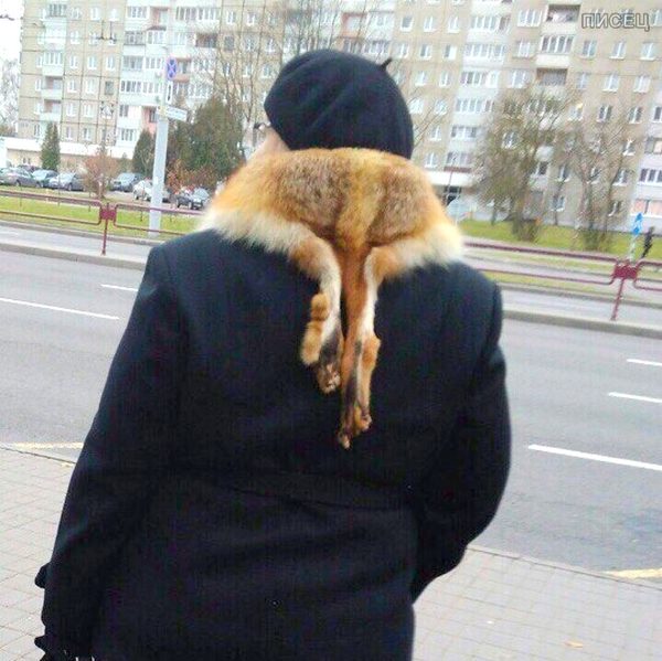 Жертвы гламура, чудовища стиля, монстры светской жизни! Вот это да! Жертвы гламура, чудовища стиля, монстры светской жизни! Вот это да!