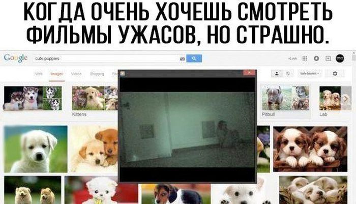 Забавные картинки с надписями со смыслом (12 фото) Забавные картинки с надписями со смыслом (12 фото)