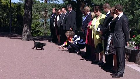 ����� ����������� � �������-���������