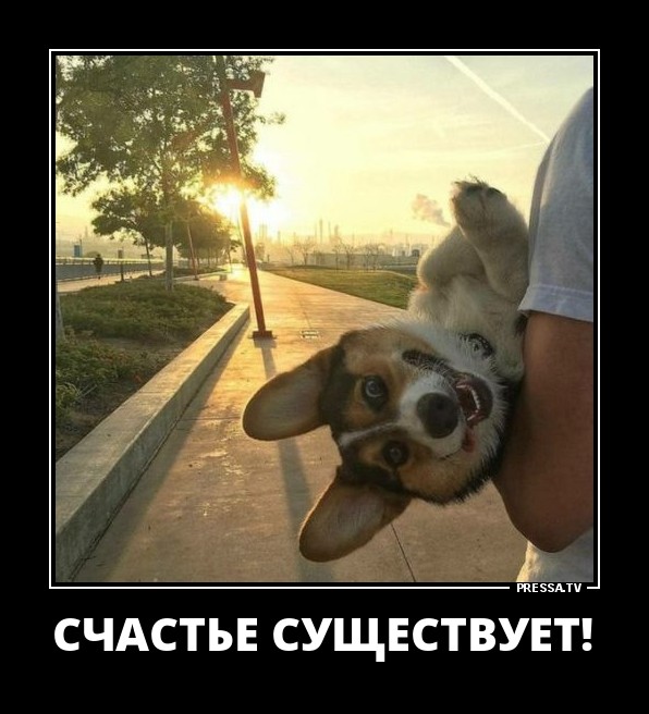 ДЕМОТИВАТОРЫ + ДЕМОТИВАТОРЫ +